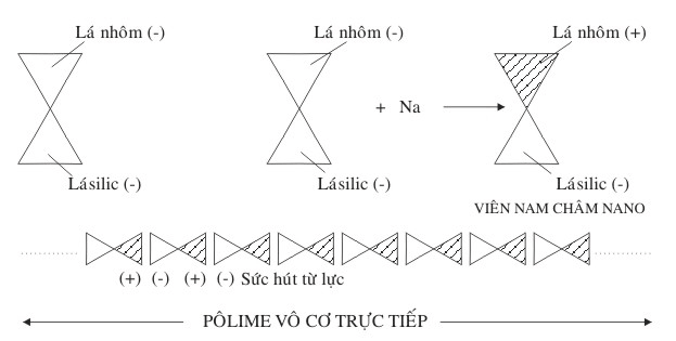 Sự polime hóa theo cơ chế trực tiếp