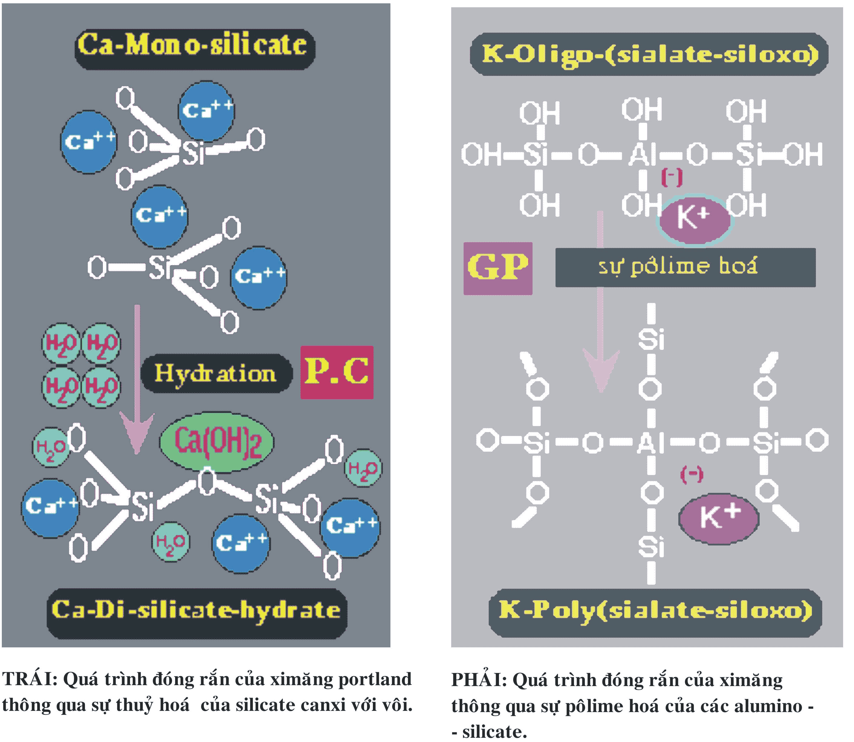 Sự khác biệt về cơ chế hình thành của 2 loại xi mang portland và xi mang polime vô cơ